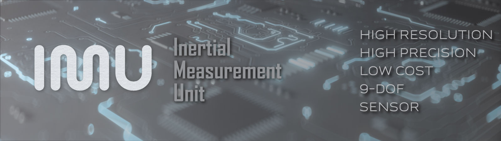 Inertial Measurement Unit (IMU)